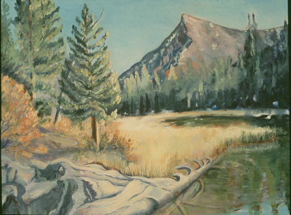 Virginia Lakes by Sally Ruddy 