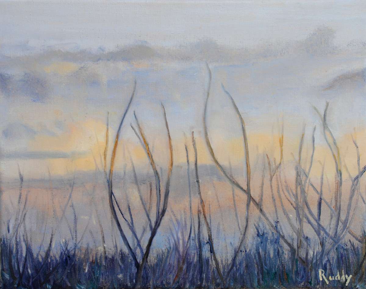 Winter Morning by Sally Ruddy 