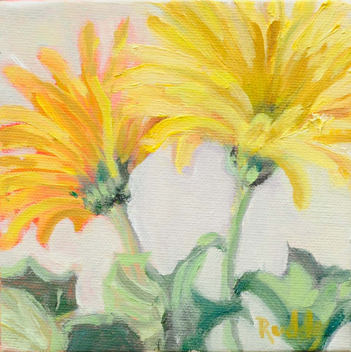 Yellow Gerbera Daisies by Sally Ruddy 