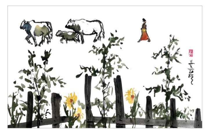 Loun Ma - 6 by Zaw Mong 