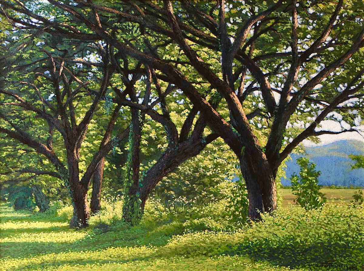 Under the sun's embrace by Shan Nyi 