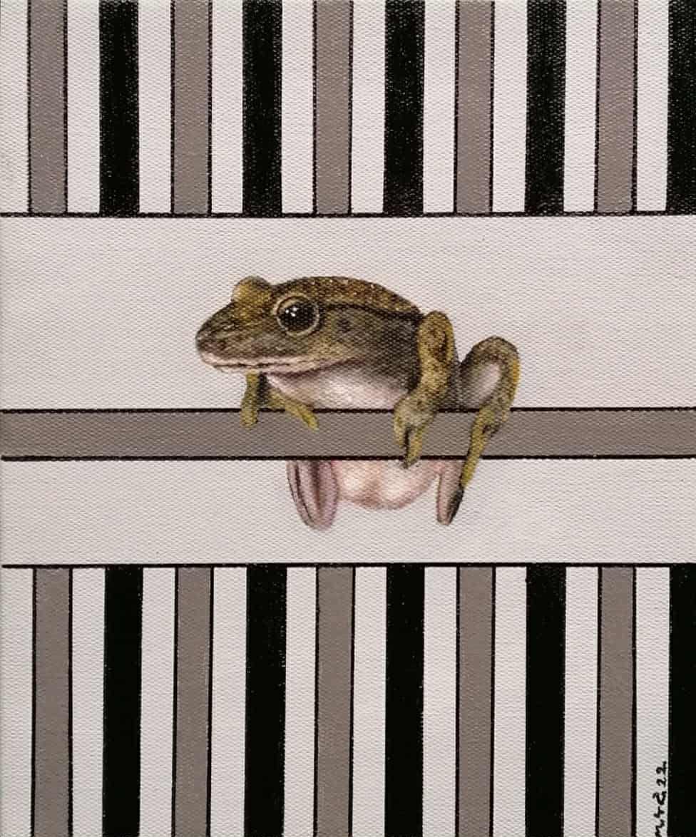 Mr.Frog by Min Thar Gyi 