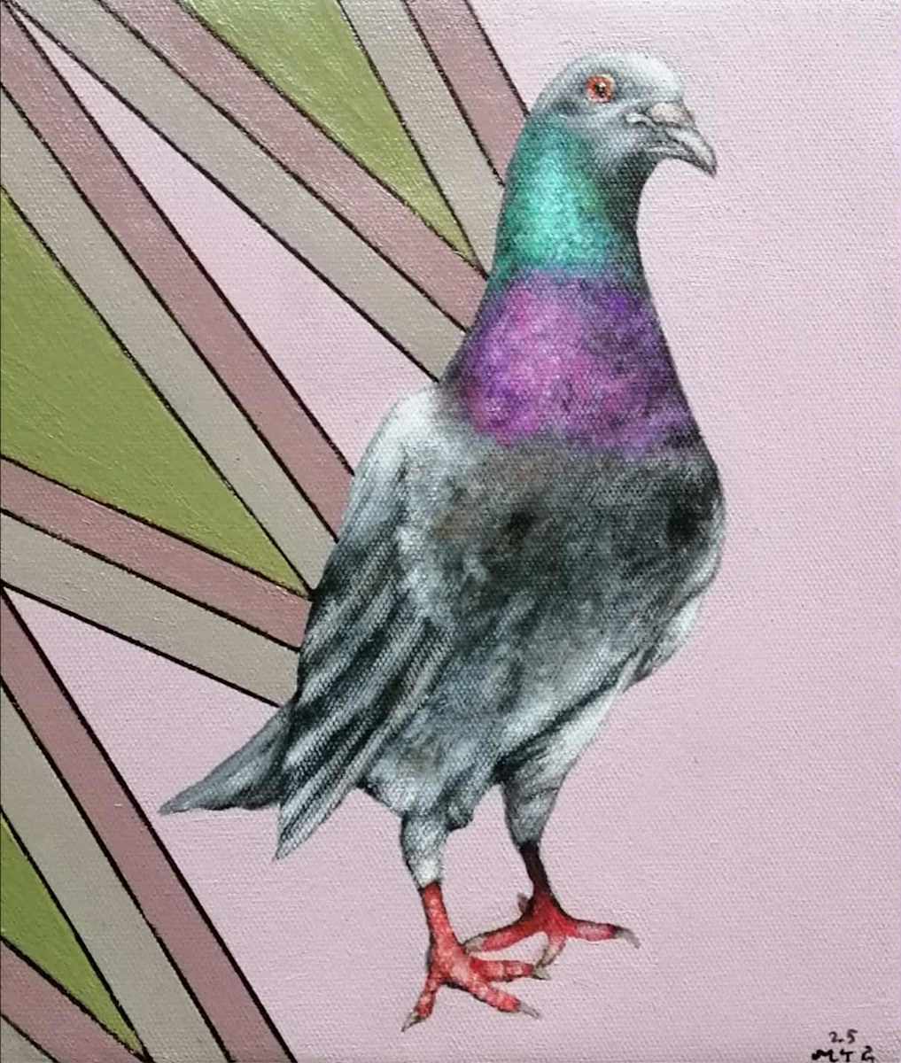 The Pigeon by Min Thar Gyi 