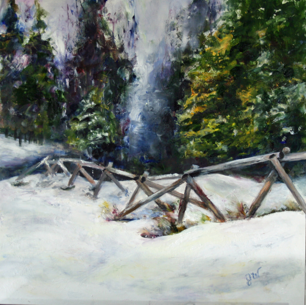 Fenced by Julia Watson 