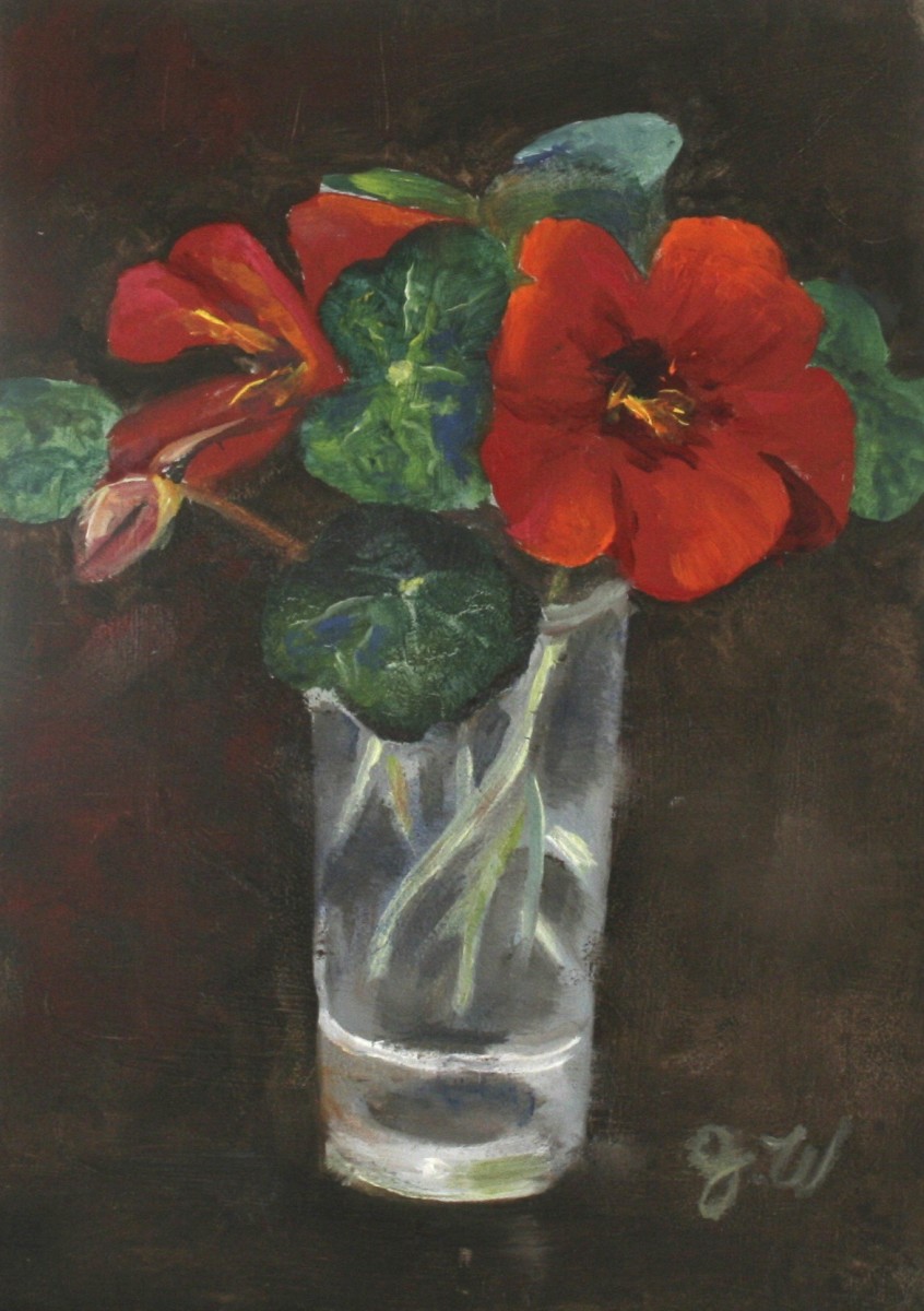 Nasturtium, 'Empress of India' by Julia Watson 