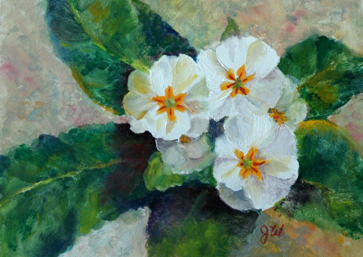 White Primroses by Julia Watson 