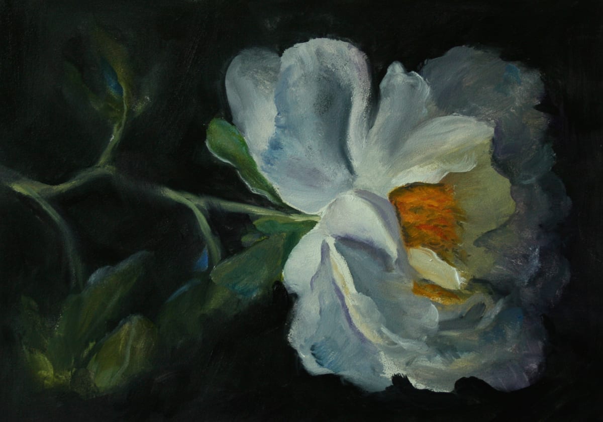 Night Light by Julia Watson, Image 1.