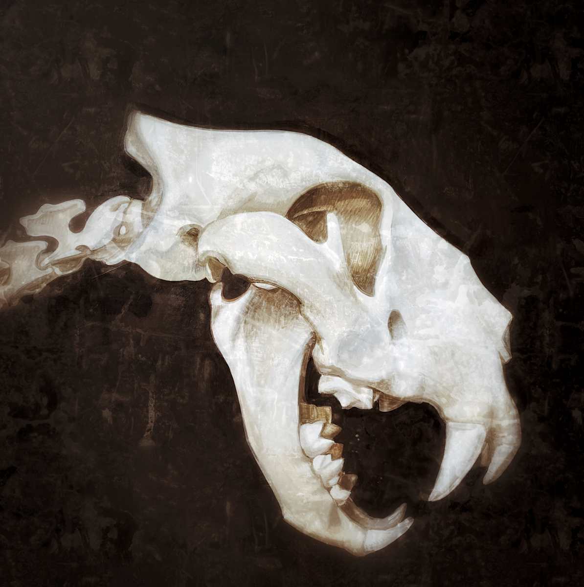 Extinct Tiger by Sasha Suvorova, Image 3.