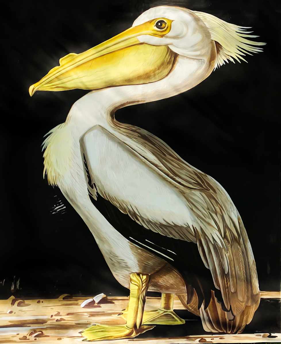 A Pelican On a Moon Surface by Sasha Suvorova, Image 1.