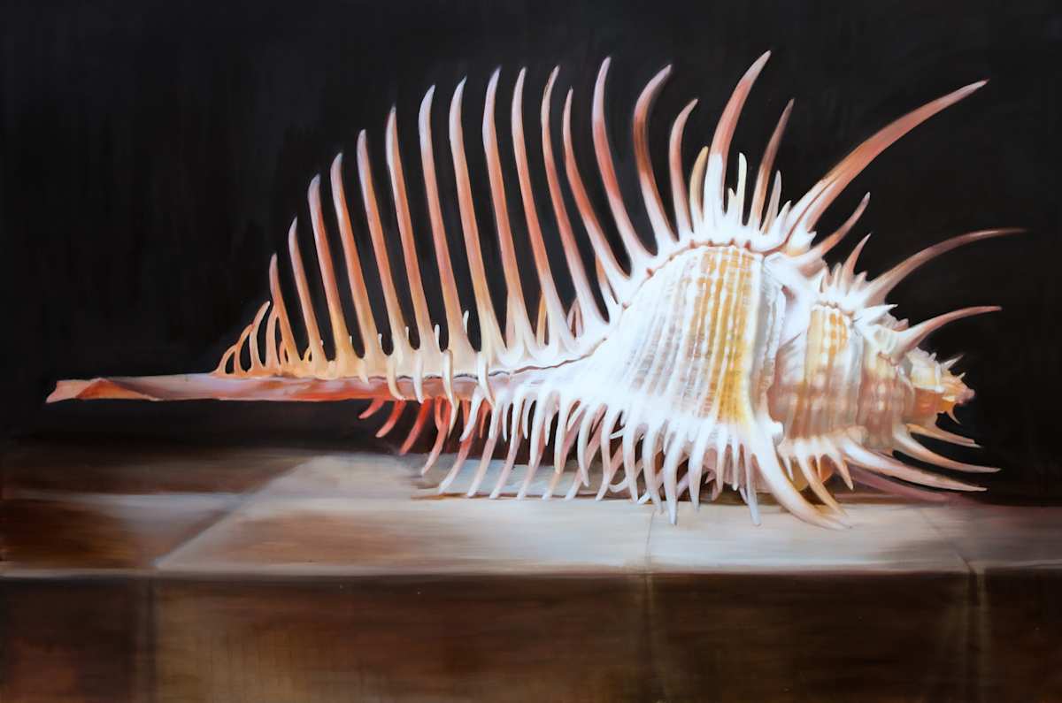The Shell by Sasha Suvorova, Image 5.