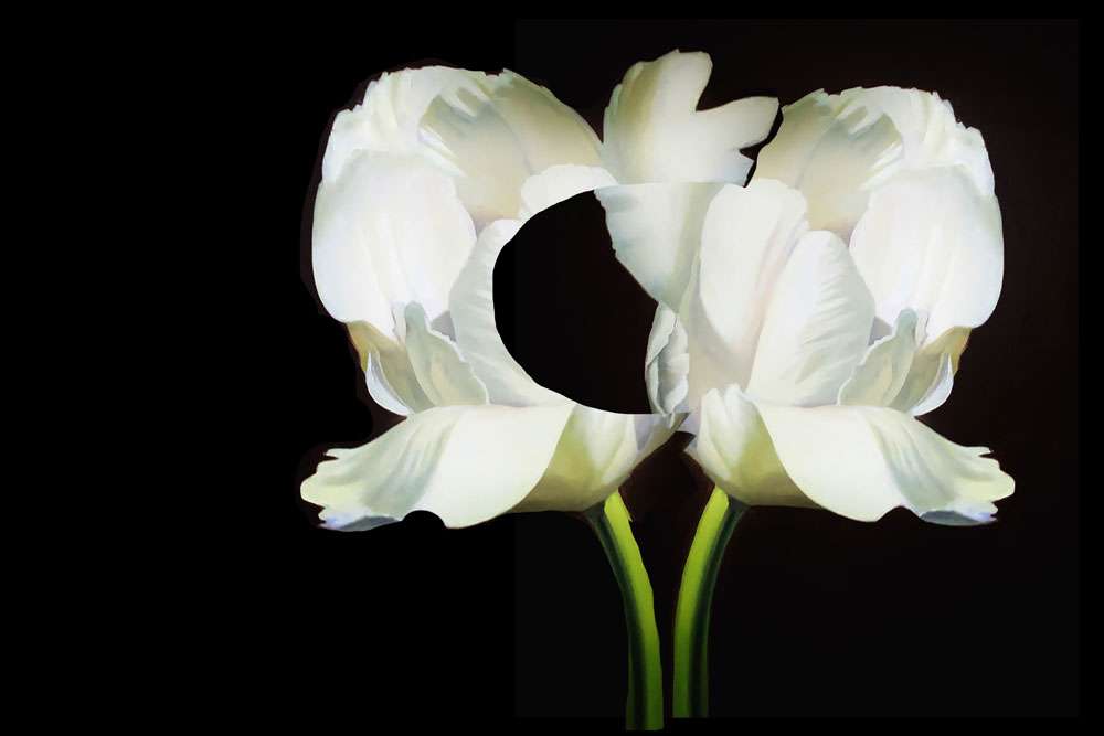 White Tulips, Lunar Eclipse by Sasha Suvorova, Image 2.