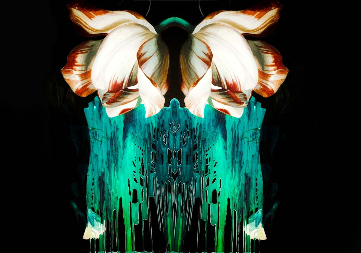 Baroque Dream by Sasha Suvorova, Image 4.