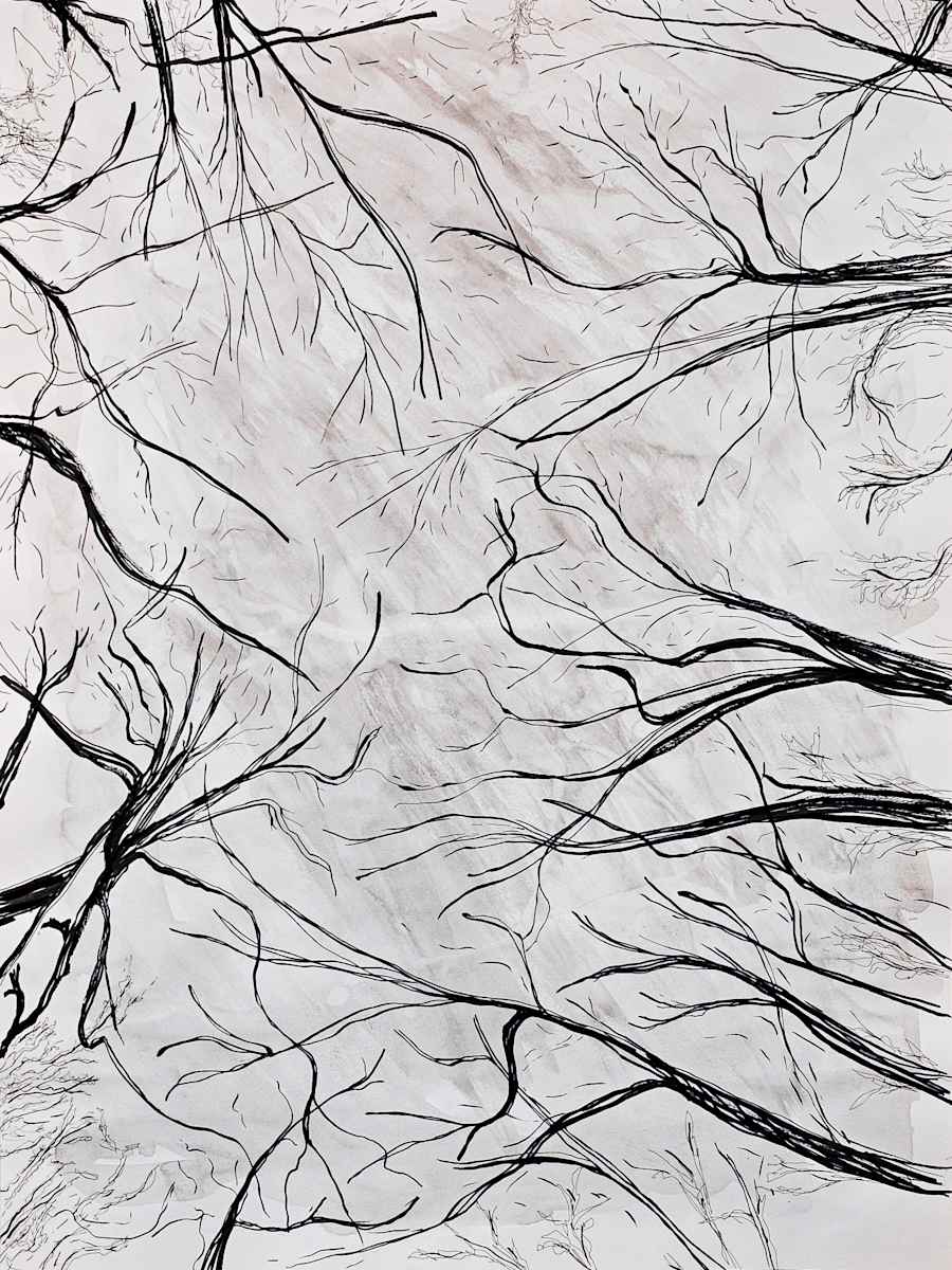 Tree Tops by Nicci Schwartz, Image 4.