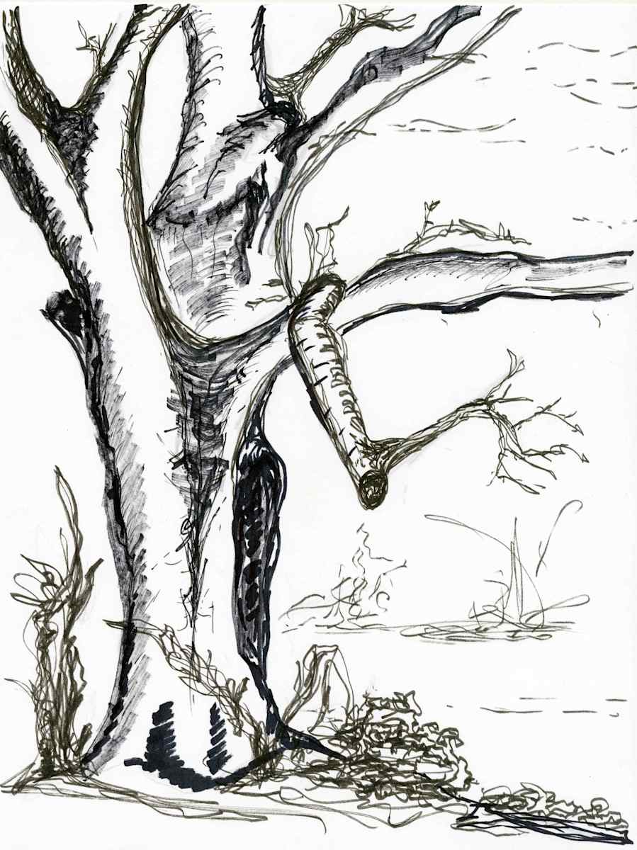 Twisted Silence by Nicci Schwartz 