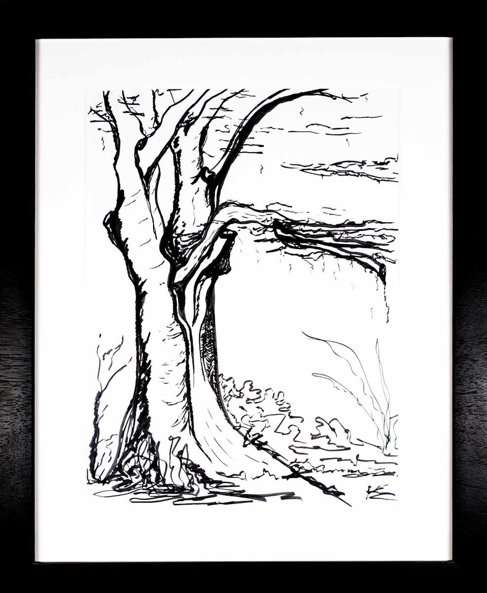 The Season Changes by Nicci Schwartz 