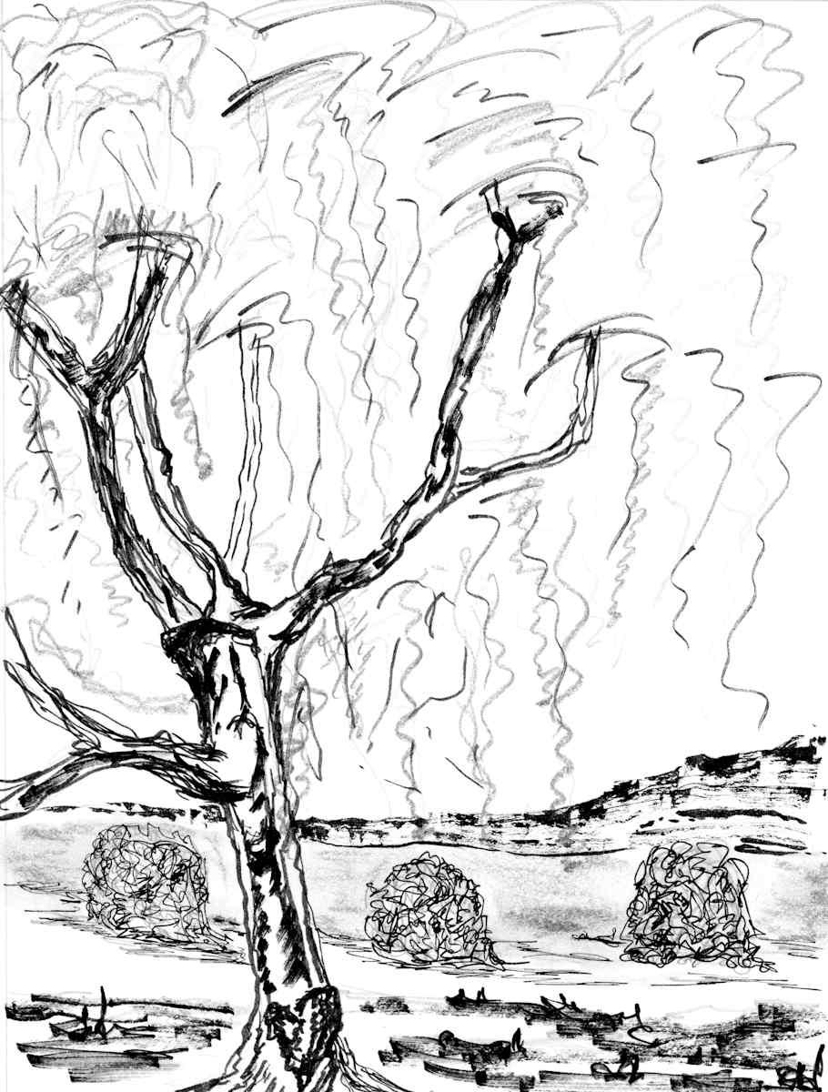 Blossoms in Motion by Nicci Schwartz, Image 1.