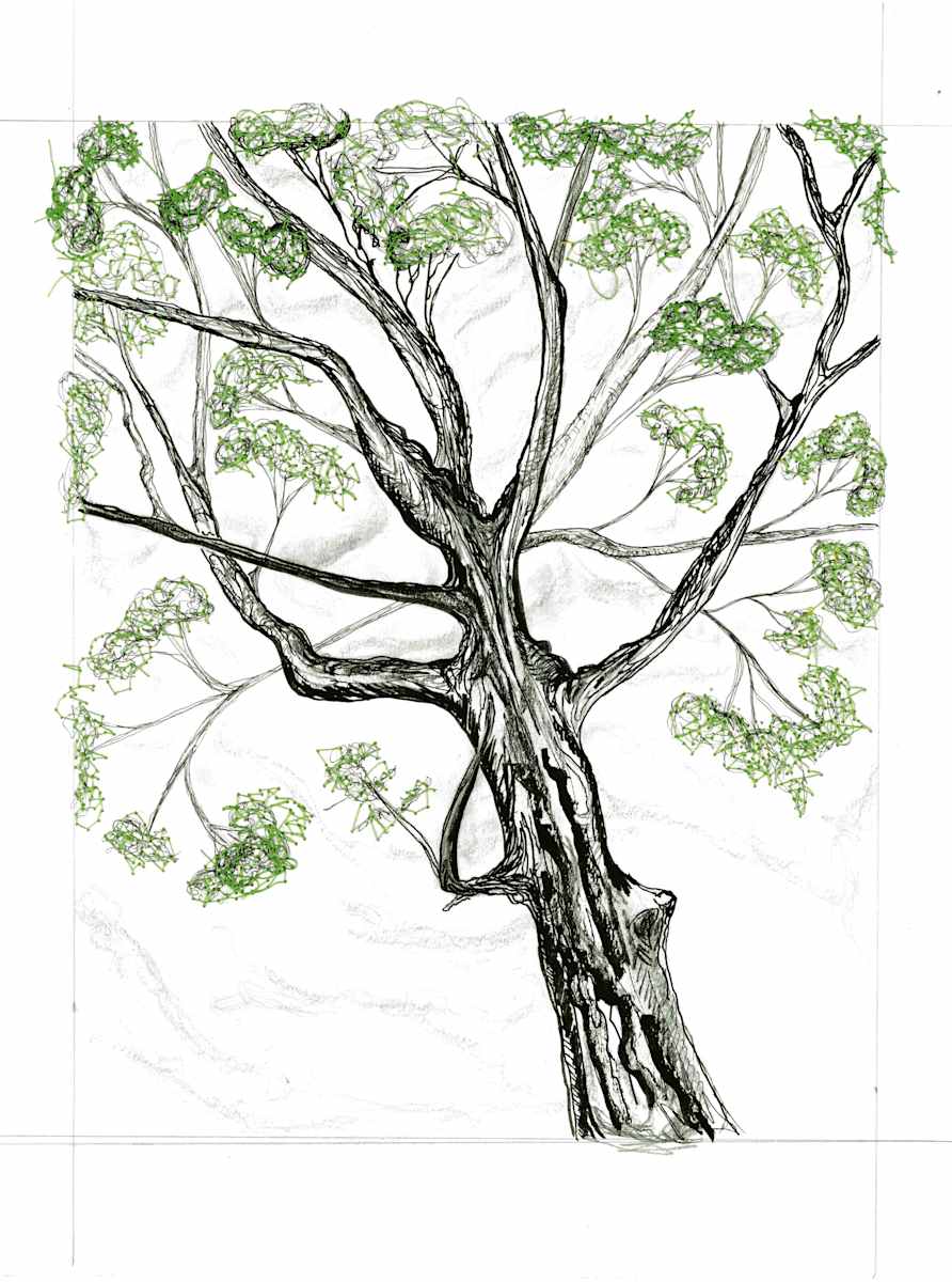 Threaded Canopy by Nicci Schwartz, Image 1.