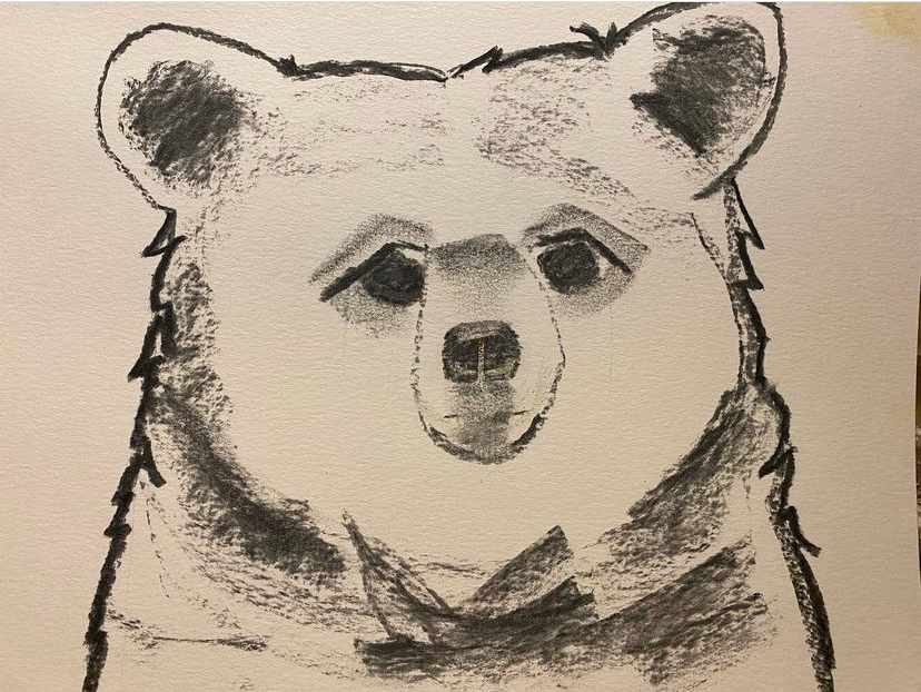 Kava Bear by Sarah Wold  Image: Kava Bear, a quick sketch before a painting, he’s chill.