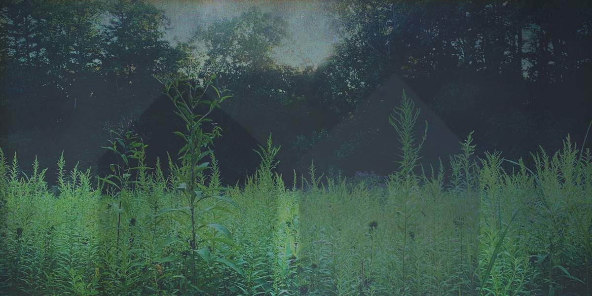 "Shift" by Jessica Wascak  Image: "Shift"
