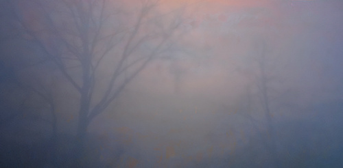 "Shroud" by Jessica Wascak 