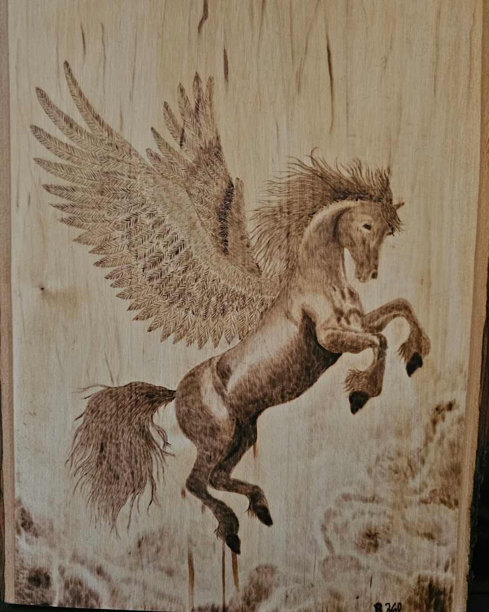 Pegasus by Butch Halberstadt 