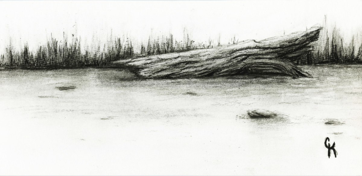 Drift by Carrie Kohles 