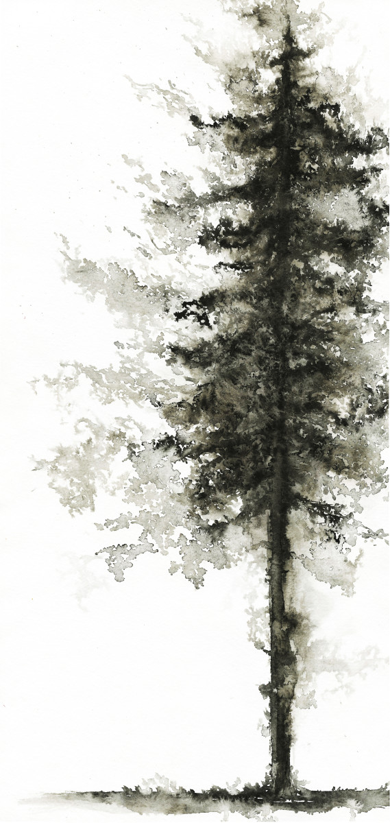 Ethereal Pine by Carrie Kohles 