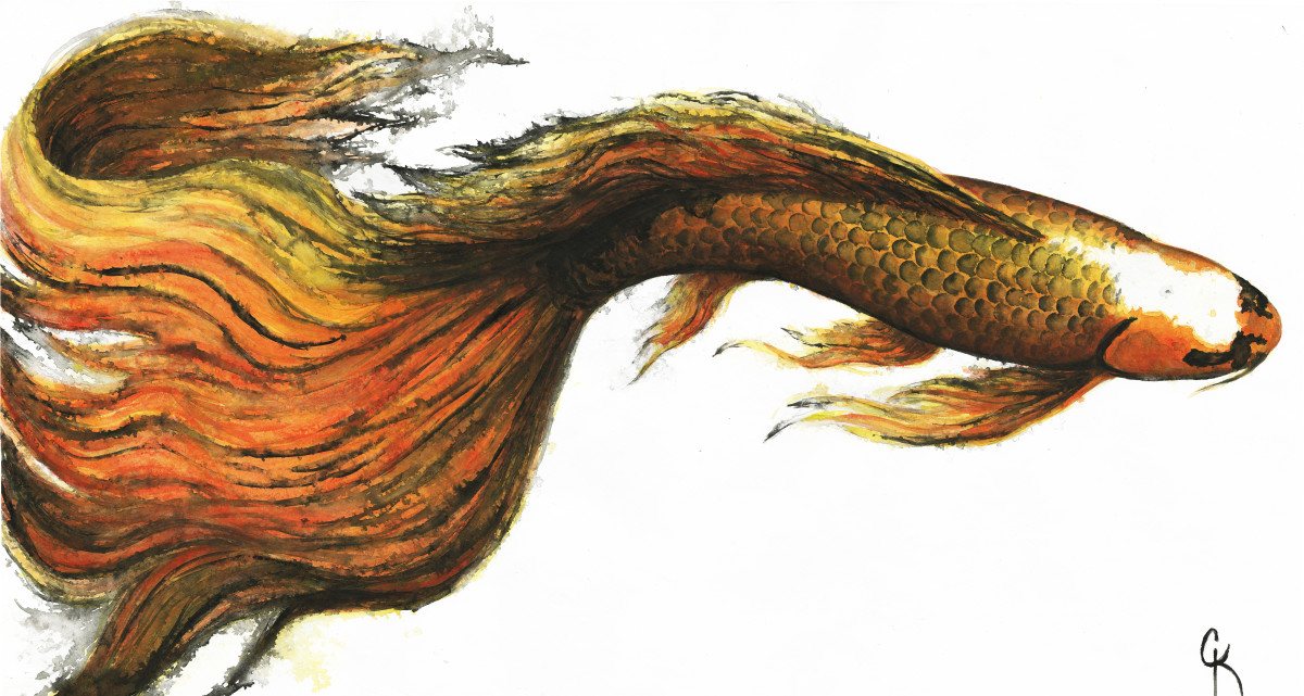 Fluid Fire by Carrie Kohles 