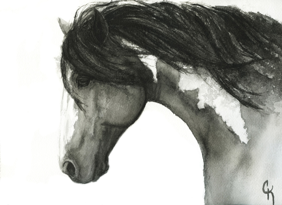Grullo Paint by Carrie Kohles, Image 1.