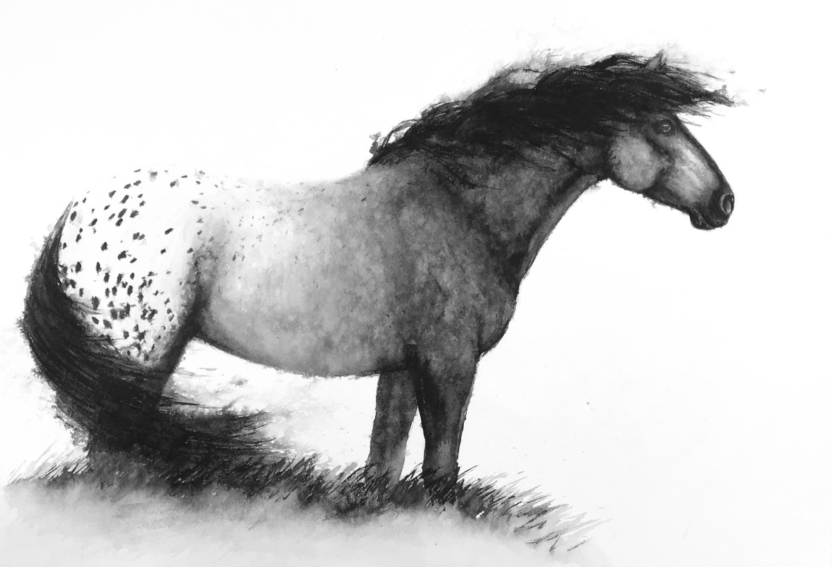 Montana Made by Carrie Kohles 