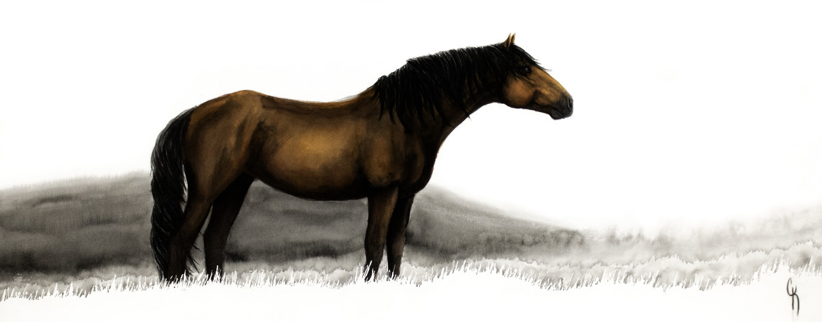 Prairie Repose by Carrie Kohles 