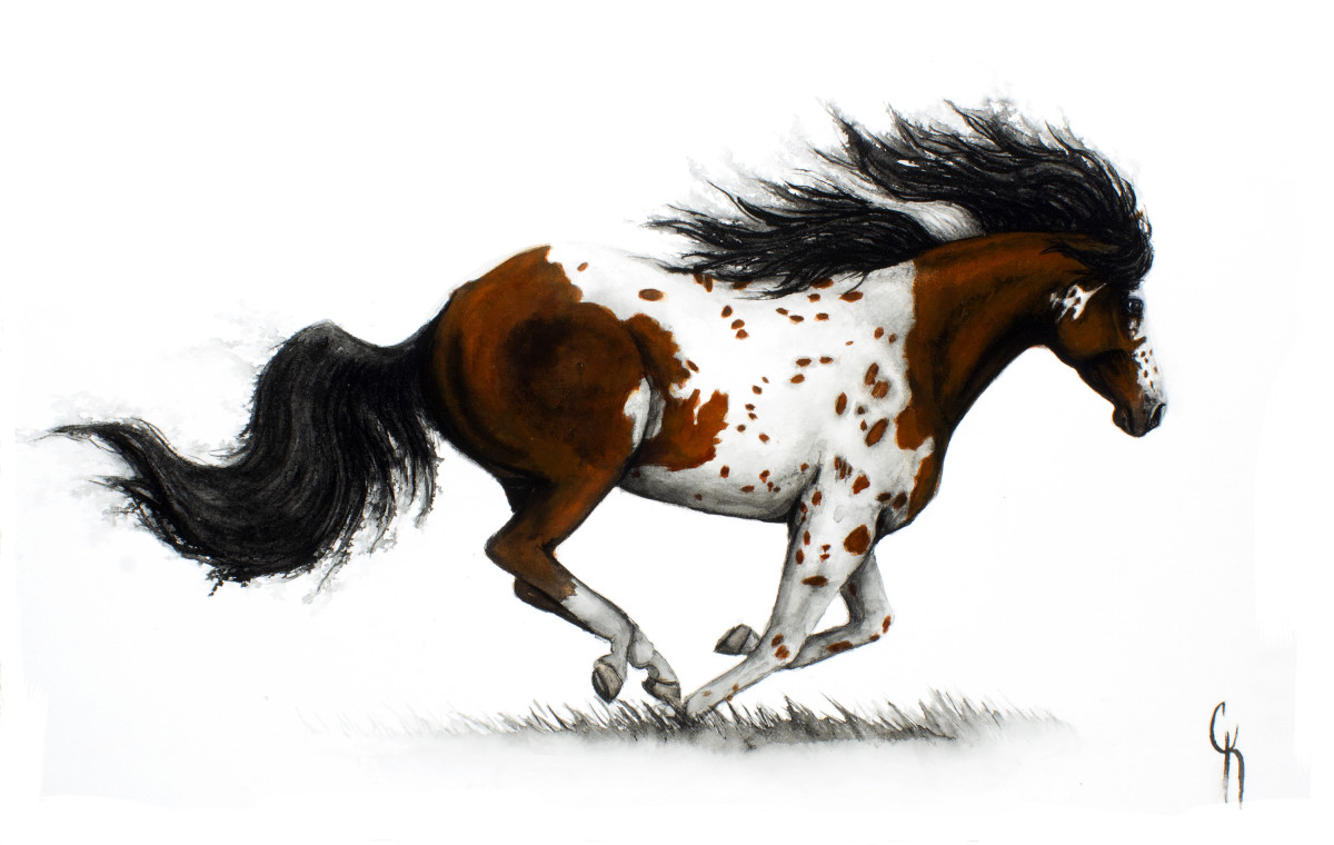 Release by Carrie Kohles 