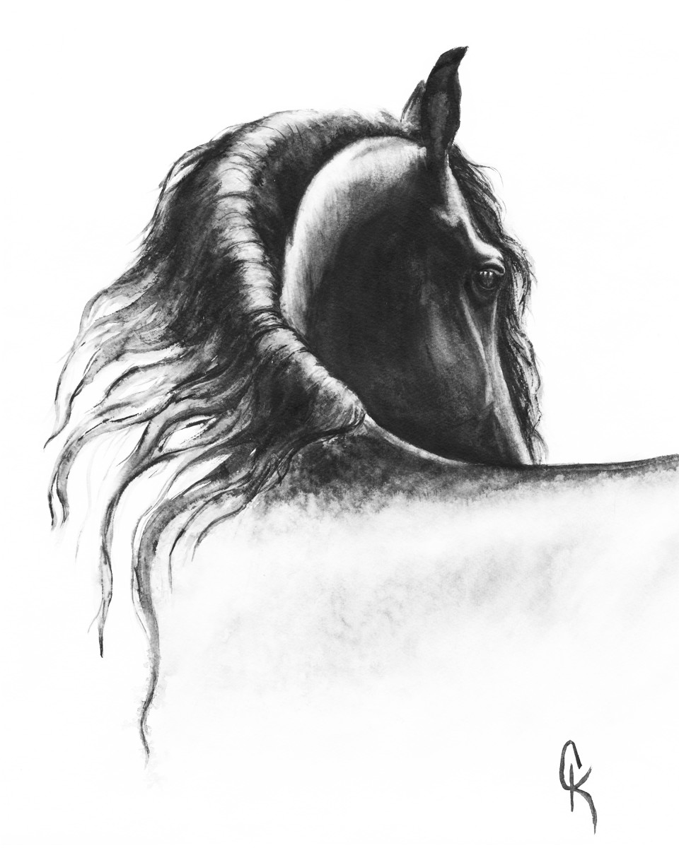 Second Glance by Carrie Kohles 