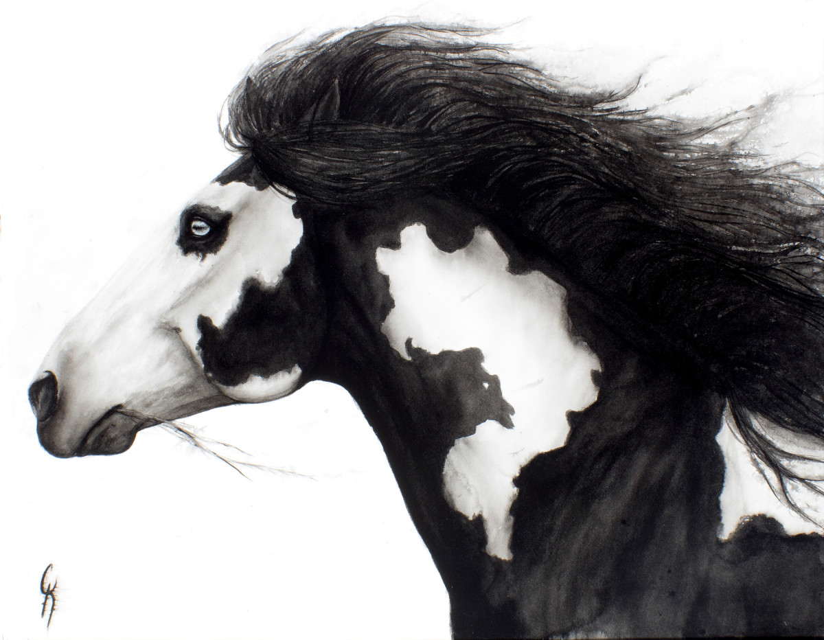 Unconstrained by Carrie Kohles 