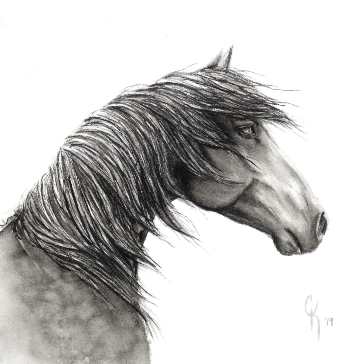 Windblown Dapple II by Carrie Kohles 