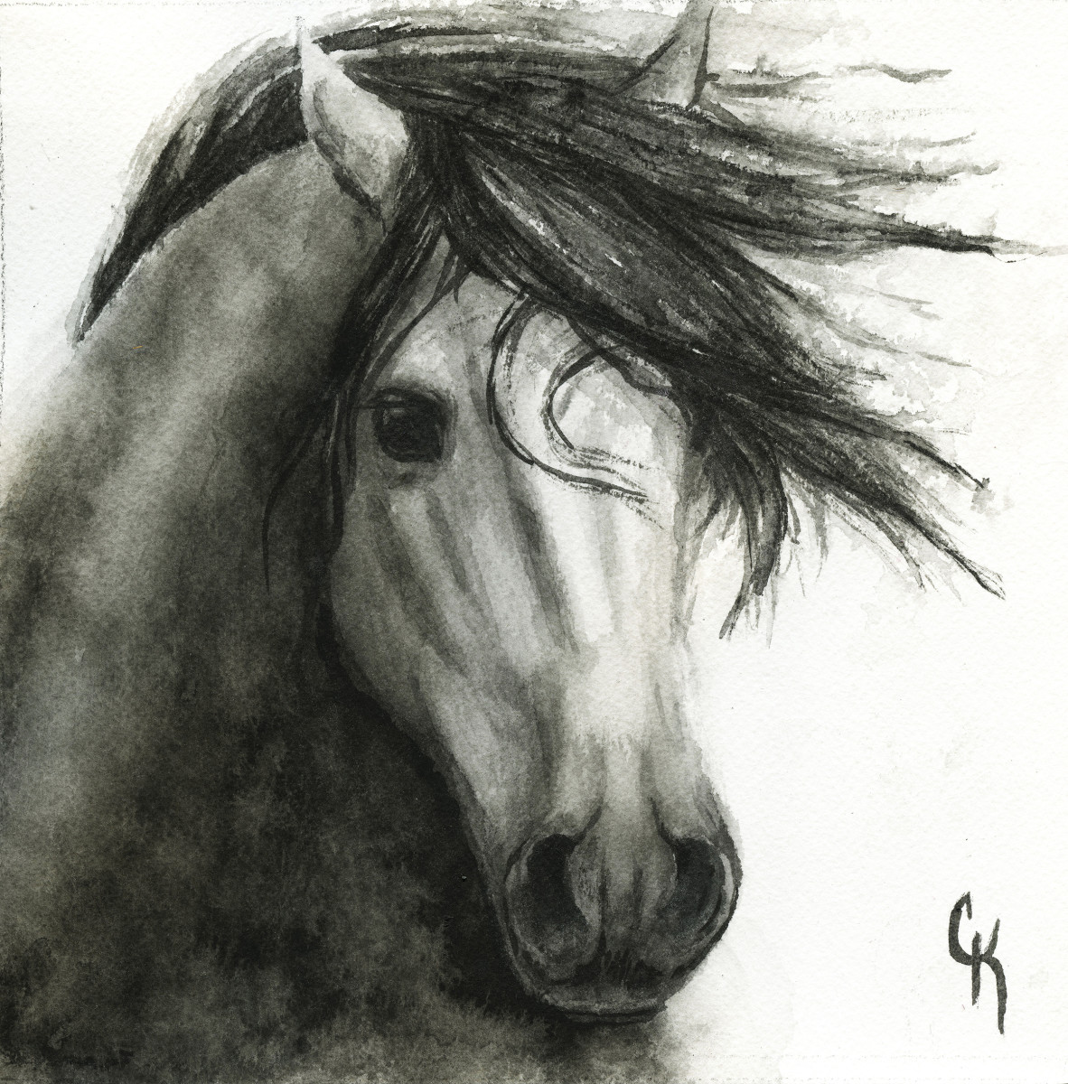 Windblown Dapple by Carrie Kohles 