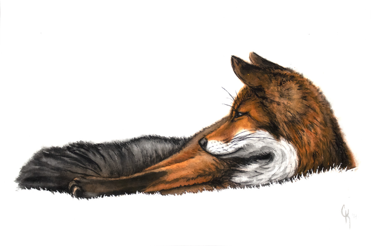 Basking by Carrie Kohles 