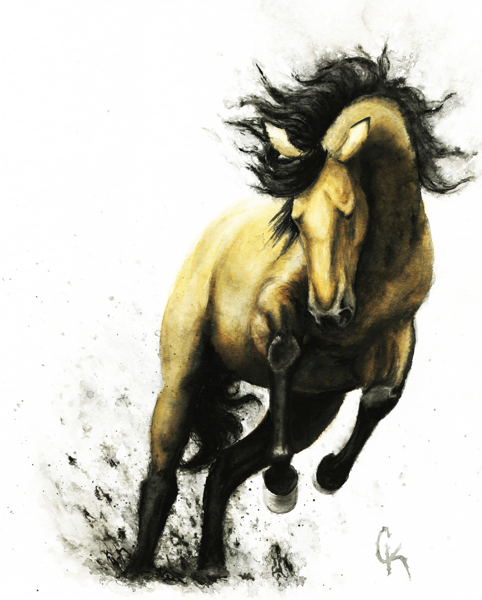 Buckskin by Carrie Kohles 