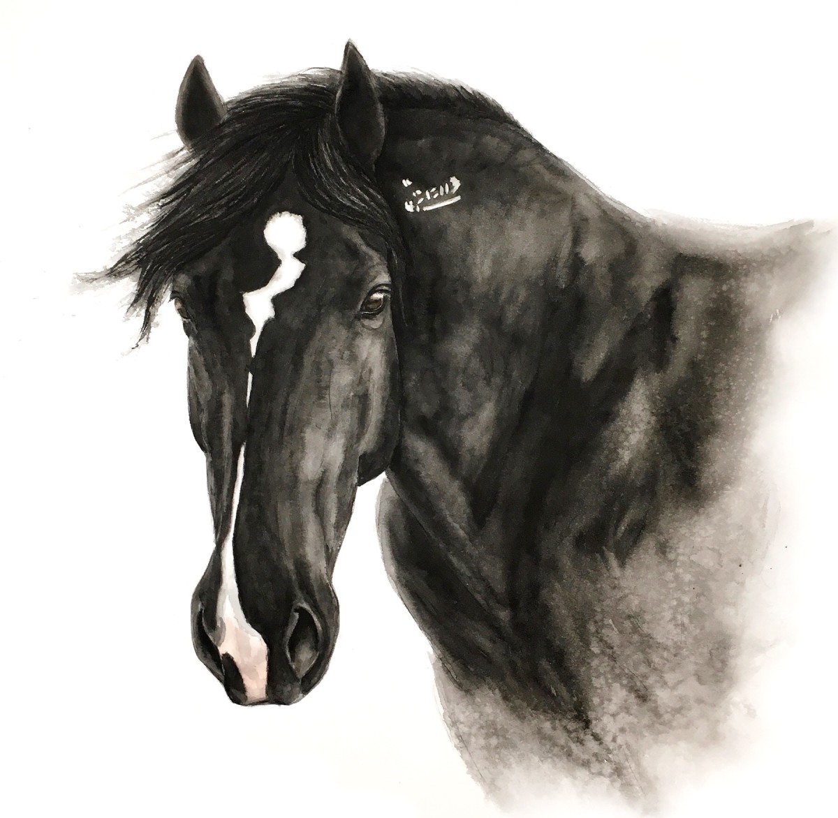 Cinder by Carrie Kohles 