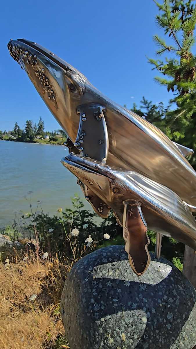 Harmony by Lowe Tide Design 