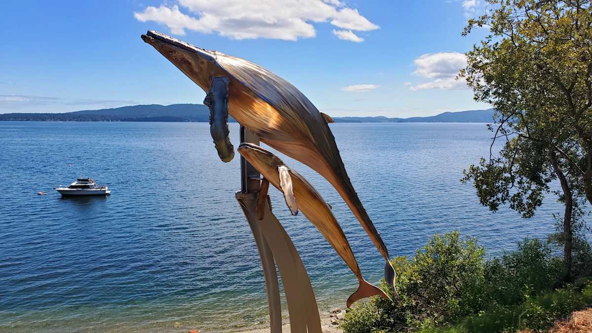 60 for 60 by Ian Lowe 