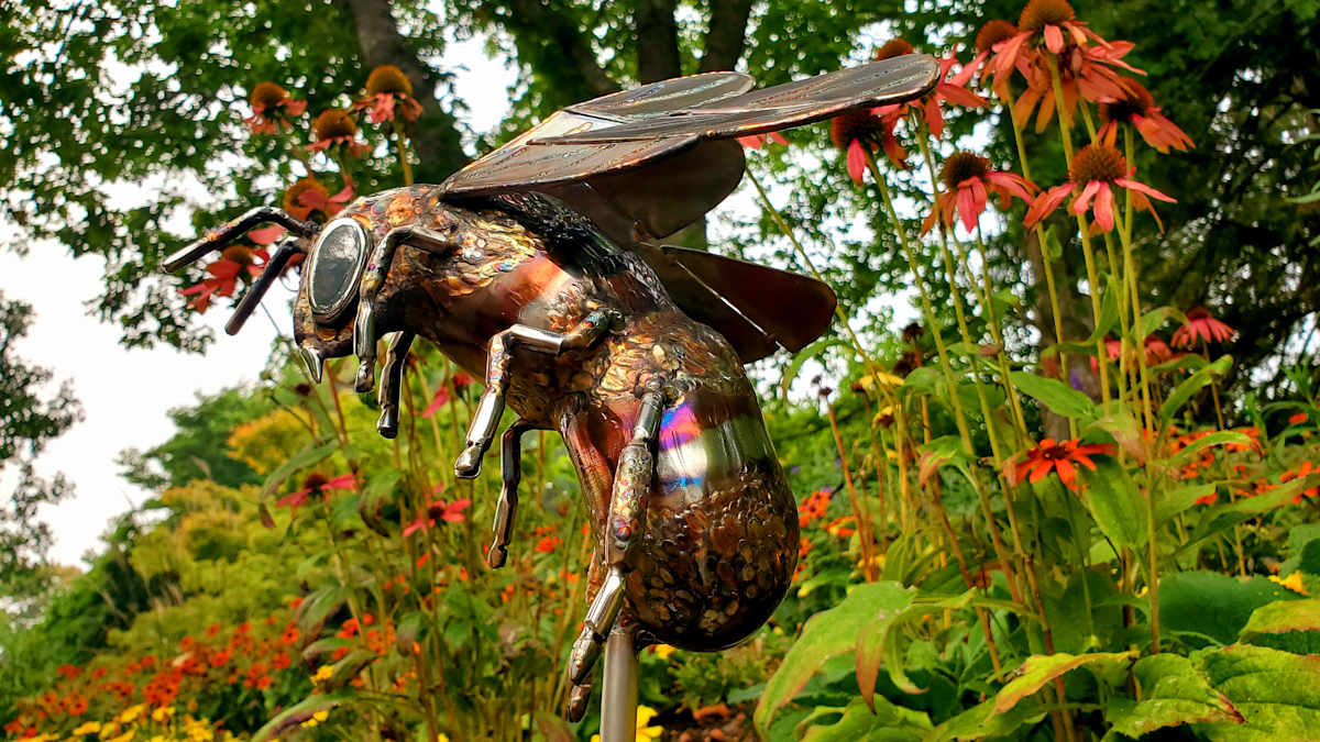 Delicate Balance by Ian Lowe 