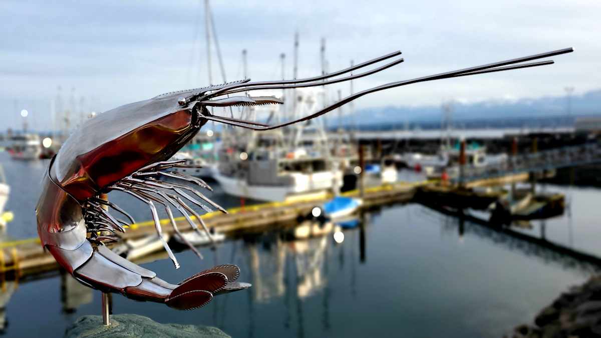 The Knight of Saanich Inlet by Ian Lowe 