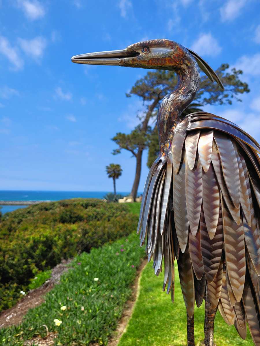 Elegant Wisdom by Ian Lowe 