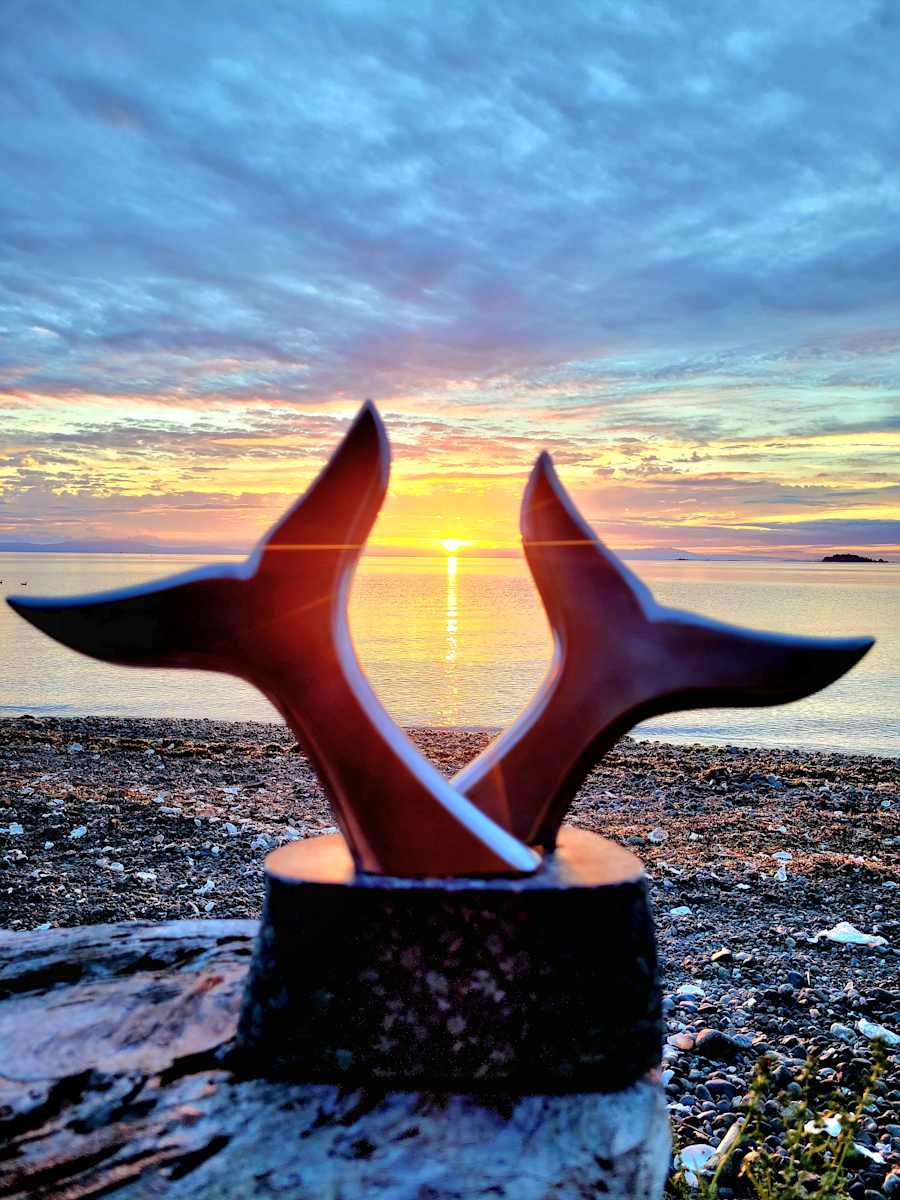 Tango by Lowe Tide Design 