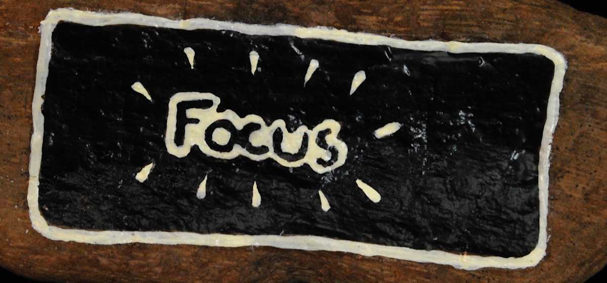 Focus by David Silva Rose 