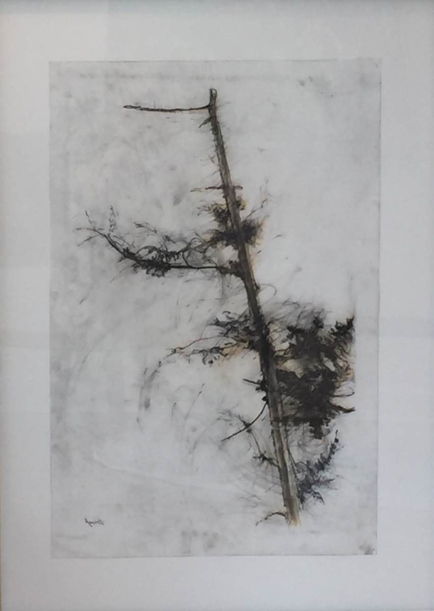 Eagle Tree by Jane Everett 