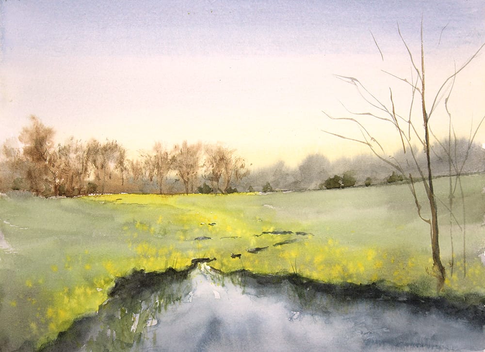 Butterweed, Runoff Creek by Robin Edmundson 
