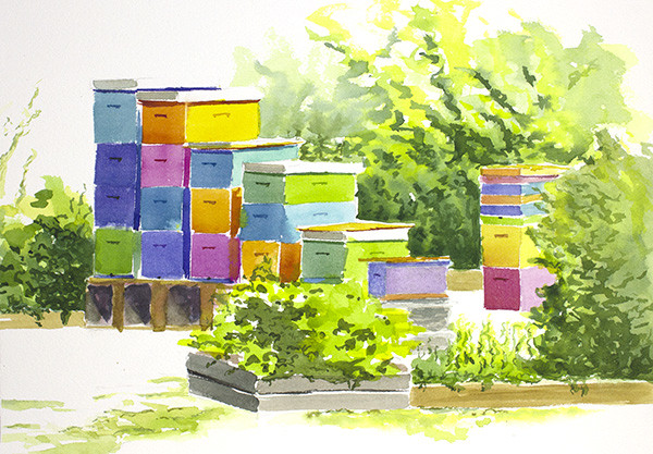 Robin's Beehives by Robin Edmundson 