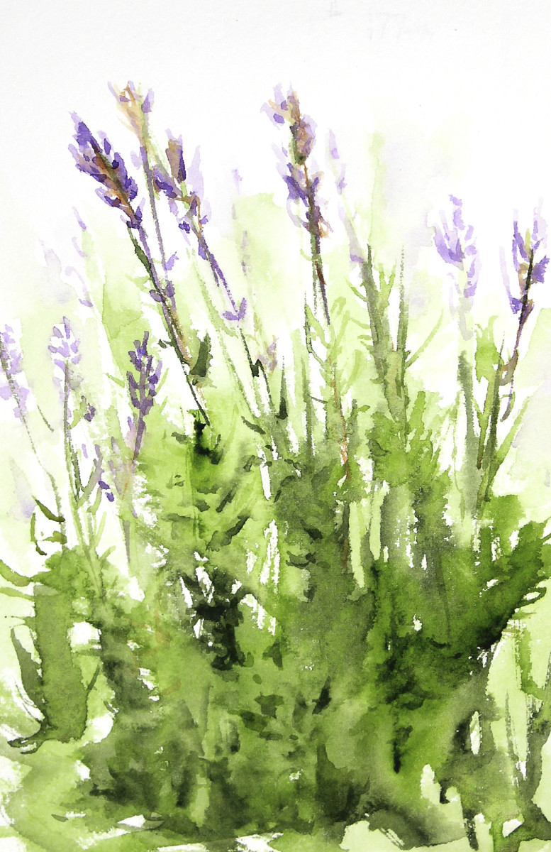 Lavender - 547 by Robin Edmundson 